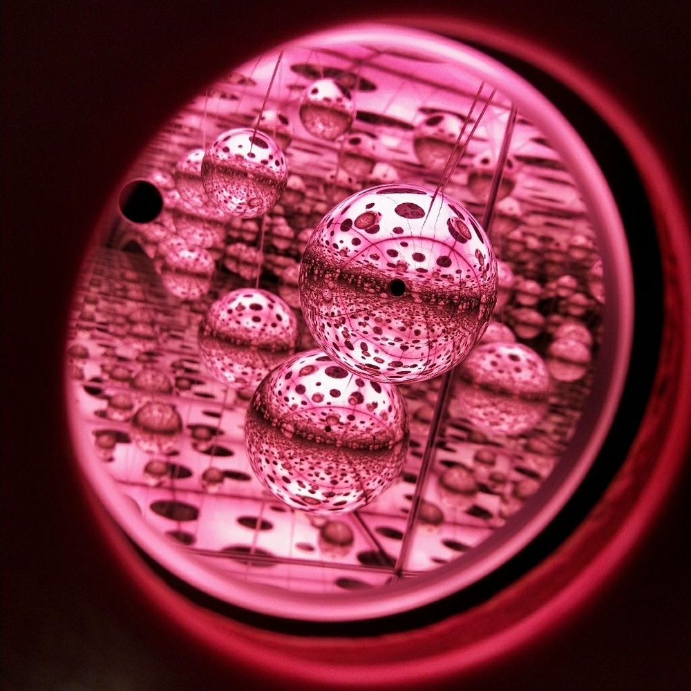 Meet your Posher, Loves_Cases